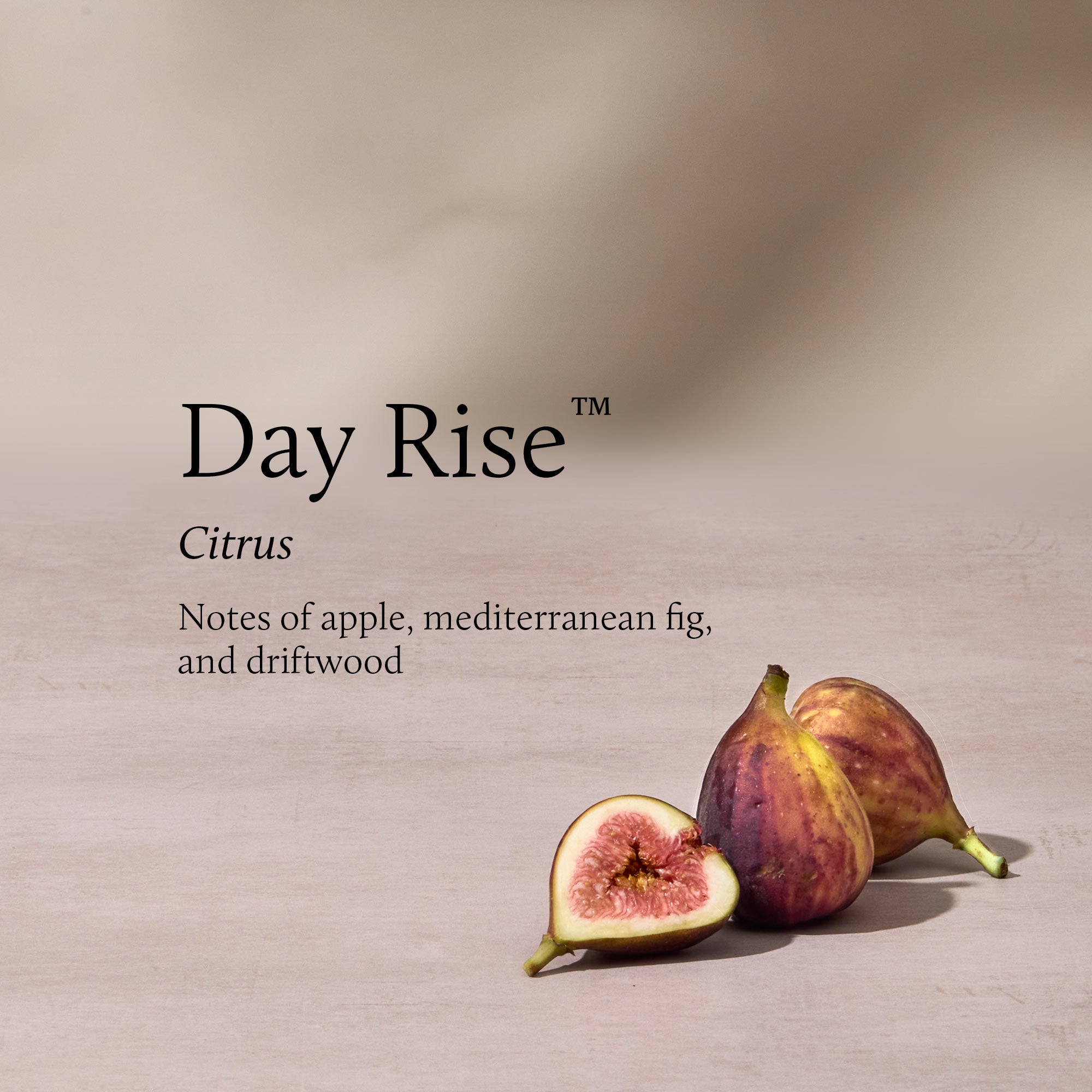 Day Rise Petite Reed Diffuser