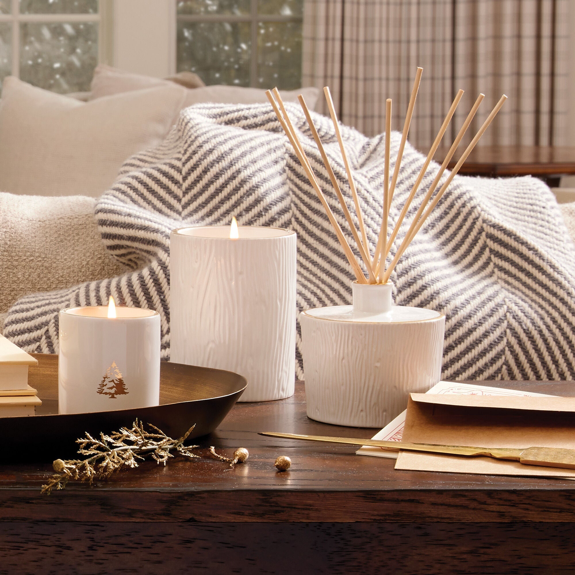 Frasier Fir® Ceramic Medium Candle